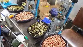 reloading bench using Dillon Progressive machines