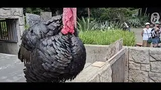 しゃぼてん公園