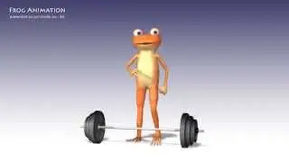 Frog Animation test2 / pm studio