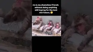 tag ur shameless friends 🤣 #shortsfeed # friends#memes #funny #comedyshorts#shortsviral #slsbs #trio