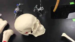 Lab Exam I: Answers Part 1