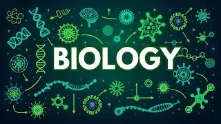 ALL OF BIOLOGY Explained in 20 Minutes!