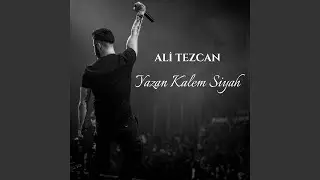 yazan kalem siyah