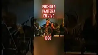 POCHO LA PANTERA #cumbia #pocholapantera#envivo #cumbiadelrecuerdo #shorts #baile #shortvideo