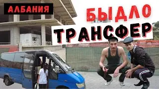 #Албания #Влера #трансфер Трансфер в аэропорт Тираны