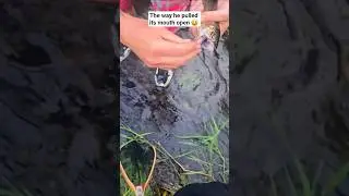 When you're fishing but the weed kicks in 🤣🪴 #fishing #pnw