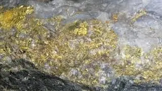 DISCOVERY OF THE MOTHER LODE VEINS- Most amazing gold find
