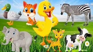 Funny farm animal duck, cat, elephant, giraffe, cow, zebra