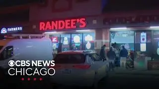 Crash-and-grab burglars target liquor store in Portage Park