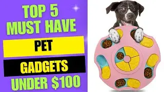 Top 5 Pet Gadgets Under $100