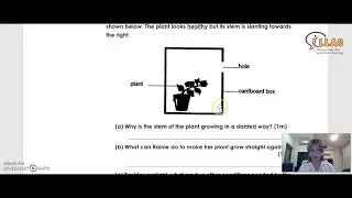 ILLAC - P3 Science - Living and Non - living things