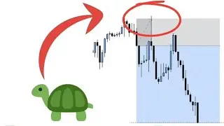 Turtle Body Soup in ICT SMC | TBS + PD Array = High Probability Setup | ICT TBS Sweep, Reclaim