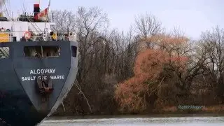 Ship ALGOWAY meets the under-tow ALGOSAR below Lock 2,  Welland Canal (2015)