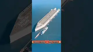 How Big Was The Freedom Ship? 😱 Explain In 3D Animation #shortsfeed #shortvideos #shorts