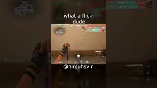 rate my insane flickshot guys