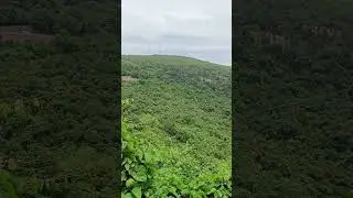 🕉️ &ldquo;हरियाणा से तिरुपति बालाजी &ndash; दक्षिण भारत की आस्था यात्रा&rdquo; #forest #mountains