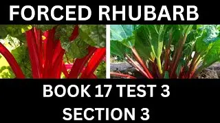BOOK 17 TEST 3 SECTION 3 | FORCED RHUBARB | IELTS GENERAL READING