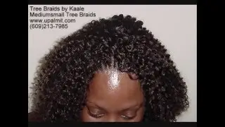 Cornrow TREE BRAIDS- Kinky Curly Treebraids Designs #3 @Kaaleshairbraiding
