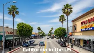 🇺🇸 Driving Through Little Saigon, California: A Taste of Vietnam in the USA!