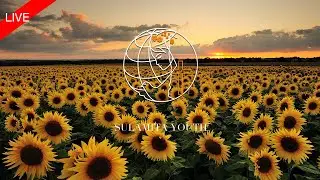 June 16th, 2023 - Friday Service