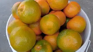 Local Oranges