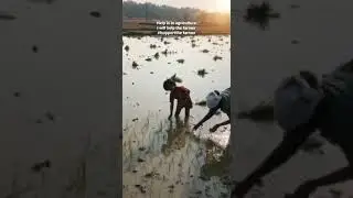 Help is in agriculture           I will help the farmer #Isupportthefarmer