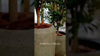 Кашпо TREEZ Effectory серия Volcano