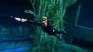 Deep dive Dubai experience