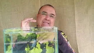 Montagem drop shot, uma montagem que pode fazer toda a diferença na sua pescaria de soft