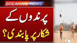 Khyber Pakhtunkhwa Wildlife Department Big Announcements | Such News