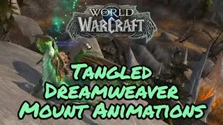 World of Warcraft Dragonflight Tangled Dreamweaver Mount Animations And Review