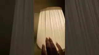 ASMR ~ 15sec Lamp Scratching #asmrcanada #asmrshorts