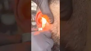 Get rid of ear 👂 hair with fire 🔥 #viral #barber #shortsvideo #vlog #hair