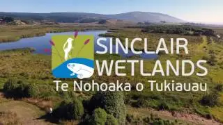 TOT DEN WEIDEN | cutting WILLOWS | wetlands #04