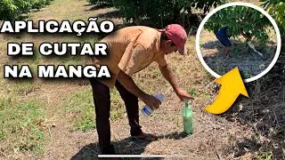 APLICA&Ccedil;&Atilde;O DE CUTAR NA MANGA