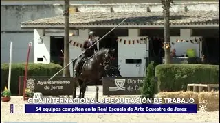 España pionera en la equitación de trabajo
