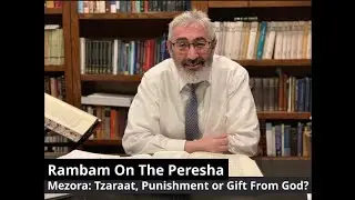 Perashat Mezora: Tzaraat, Punishment or Gift From God?