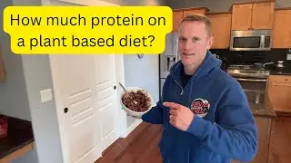 How much protein is needed on a plant based diet?