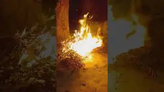 Holika Jale 🔥🔥🌝 #holi #viral #youtubeshorts #comedy @Sunny755 #holi