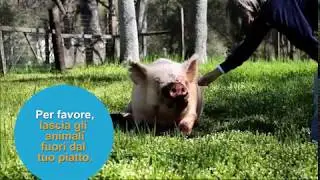 Primi assaggi di libertà