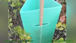 Corflute Plastic Tree Guard