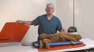HoverHeat Product Demonstration | VetORSolutions | Veterinary Patient Warming System