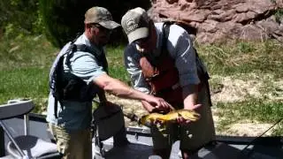 SNTV 2015 v7 Flaming Gorge Resort 001