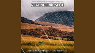 Regenger&auml;usche, Pt. 49