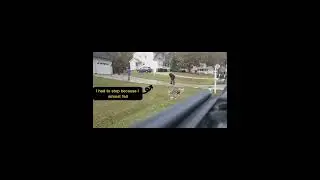 Professional driveway cleaning