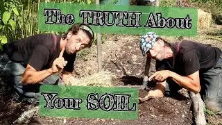 MSV, Permaculture, Syntropy... What No One Ever Tells You!