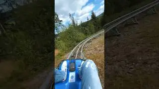 Alpine Coster #adventure #bayreuth #summertime #aplinecoaster #adrenalinerush #explore #pov #germany