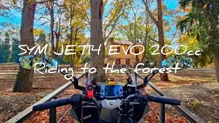 Forest ride POV | SYM JET14 EVO 200 - relaxing motorcycle cruising 
