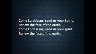 The Immaculate Conception Catholic Church - Live stream