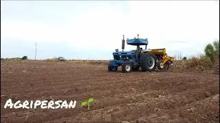 UN DIA DE SIEMBRA DE 
